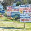 The farm stand at Hedlin's Family Farm has sprouted a field of colorful signs.