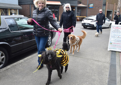 Three people walk dogs on sidewalk