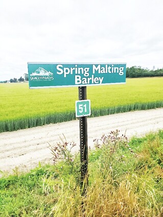 A sign in front of a field shows Spring Malting Barley
