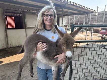 Woman holding miniature donkey
